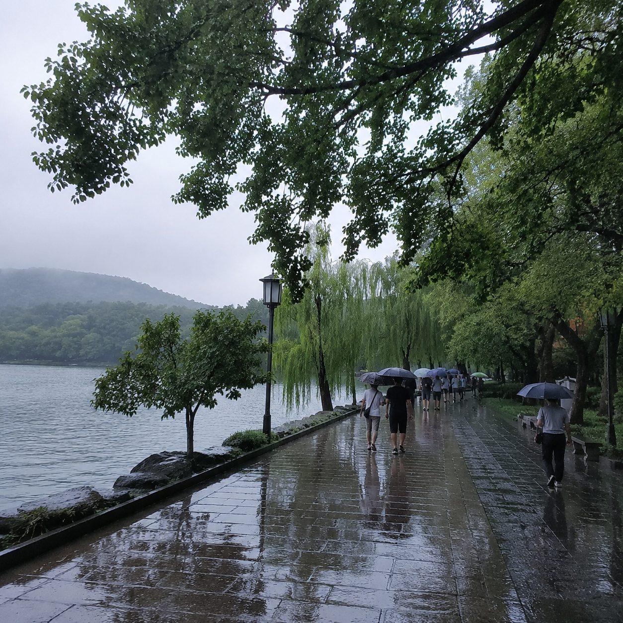 七月在杭州安安静静避雨,我终于不再把下雨当行程损失 | My First Rainy July Plan in Hangzhou Taught Me to Stop Treating Rain as Lost Travel Time