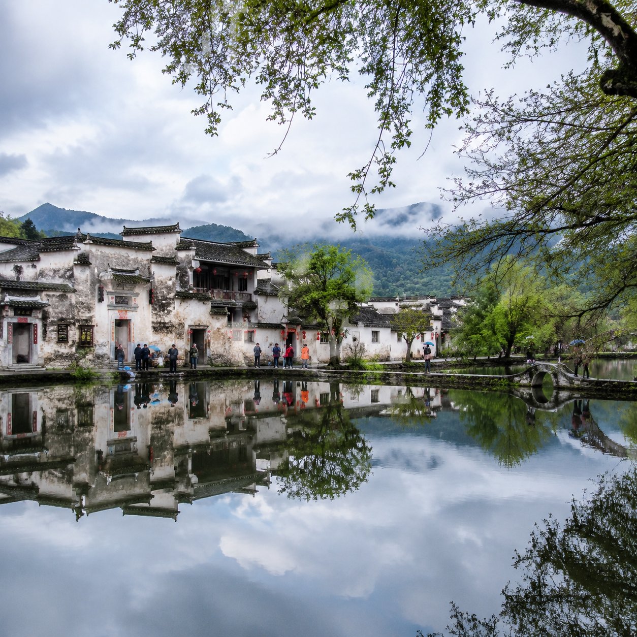 五月在婺源的雨后清晨,我跟着民宿老板去看一片刚亮起来的白墙黑瓦 | One Rain-Washed Morning in Wuyuan, I Followed a Guesthouse Owner Toward White Walls Just Beginning to Glow