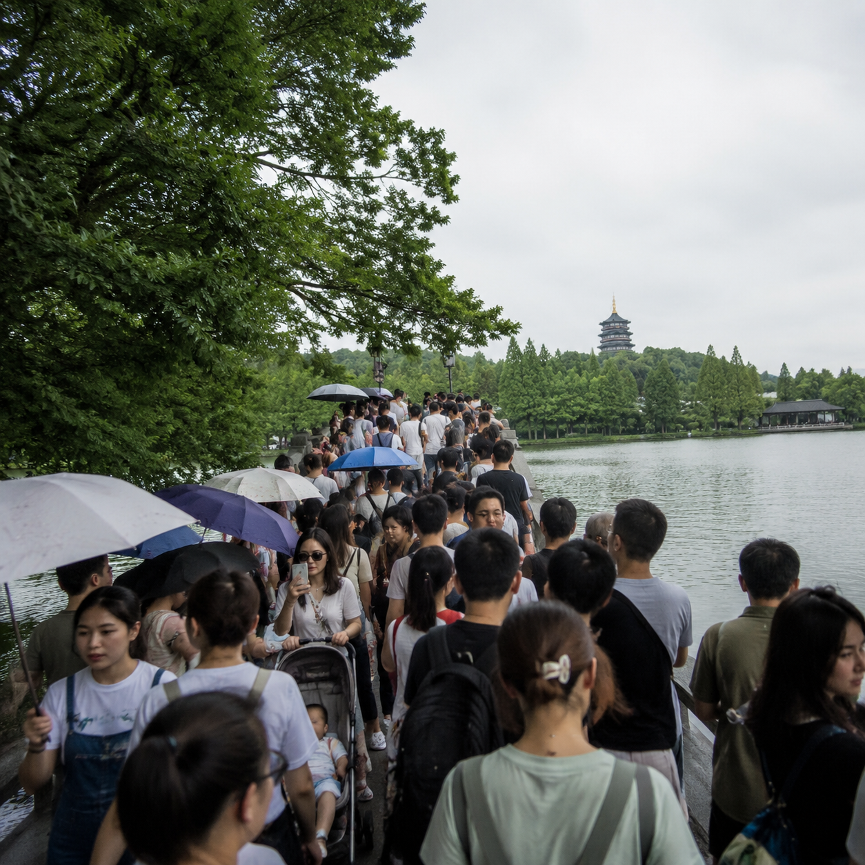 杭州西湖边那阵风,提醒我热门景区也要会躲人流 | A Breeze by West Lake Reminded Me How to Dodge Crowds at Famous Attractions