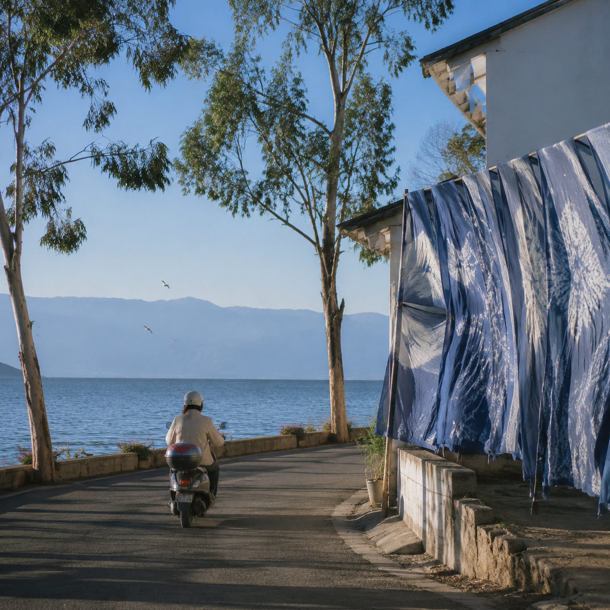 大理风停下来的那一刻,我才看清洱海边的节奏 | When the Wind Paused in Dali, I Finally Saw the Rhythm Beside Erhai