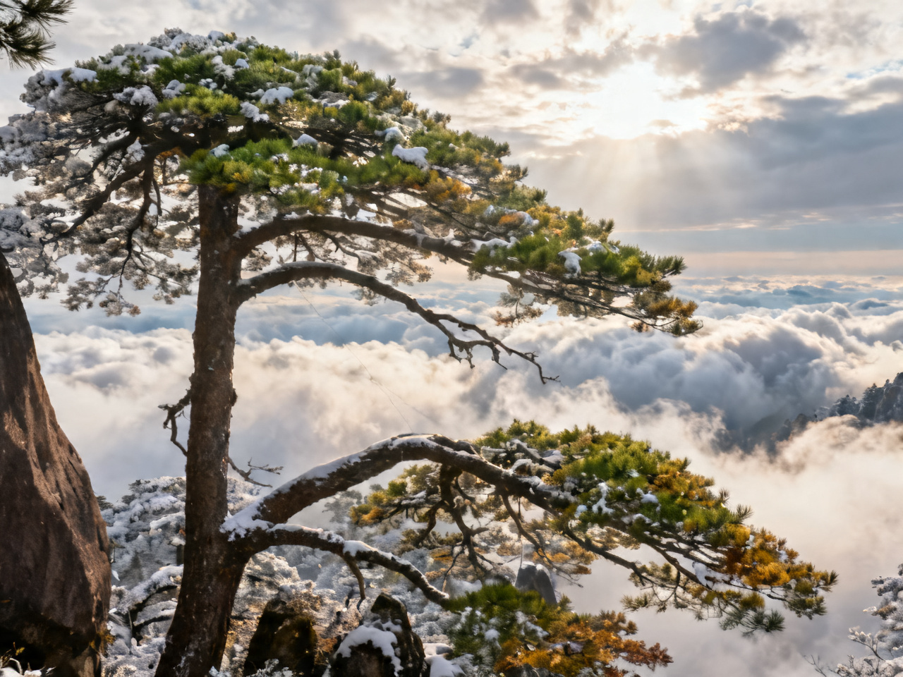 黄山云海与迎客松：四季皆美